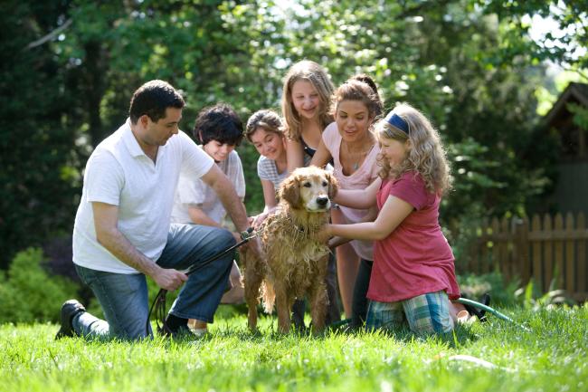 Family with a golden retriever